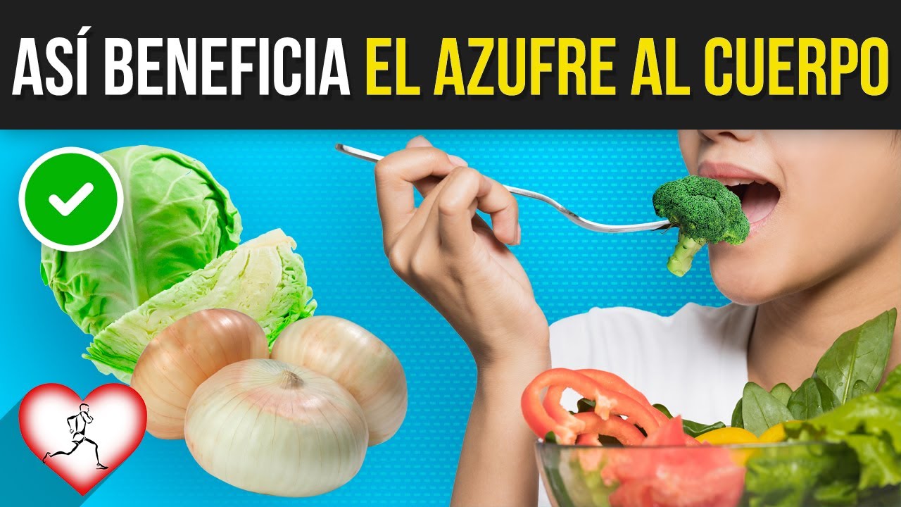 10 ALIMENTOS ricos en AZUFRE o sulfuro que debes incluir en tu ALIMENTACIÓN YouTube 10 ALIMENTOS ricos en AZUFRE o sulfuro que debes incluir en tu ALIMENTACIÓN YouTube