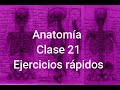 Anatomía Clase 21 - Ejercicios rápidos