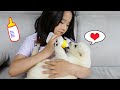 수지의 아기 강아지 돌보기 놀이 하고 재밌는 이야기 함께해요 Suji baby dog care and funny kids stories