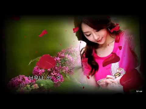 영원한 사랑 - 박은경