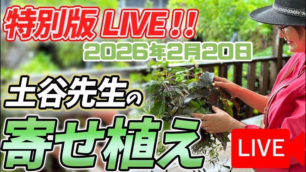 《生配信》2026年2月20日 土谷ますみ先生の寄せ植えをLIVEにてご紹介！八王子本店からお届けします！