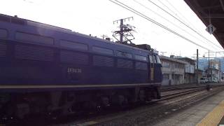 EF66 36号機[吹]牽引5099レ 富士駅入換