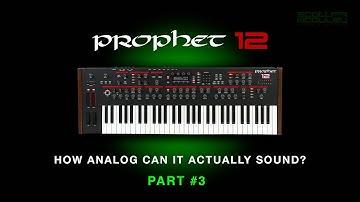 Prophet 12 - How Analog can it sound? - Part #3 (No Effects)