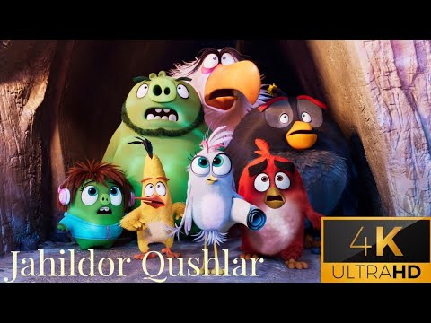 Jahildor qushlar | Angry birds uzbek tilida 4K Ultra HD #multifilm #cartoon #uzbektilida #multfilm