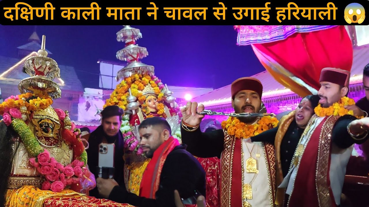 मां दक्षिणी काली माता ने चावल से उगाई हरियाली  सब यह देख कर हैरान हो गए 😱🤔