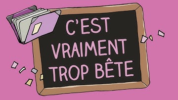 L'école des fables - C'est vraiment trop bête