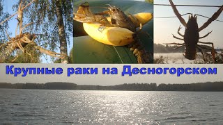 Закрытие рачьего сезона на Десногорском водохранилище.