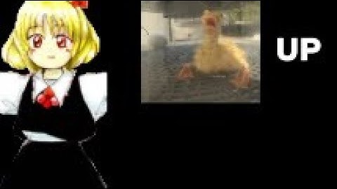 Bird up — [Item Asylum]