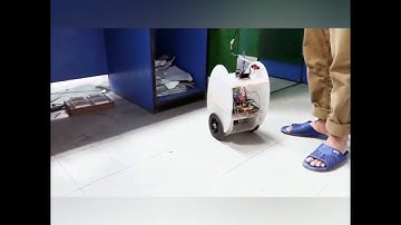 Working of a Self Balancing Robot