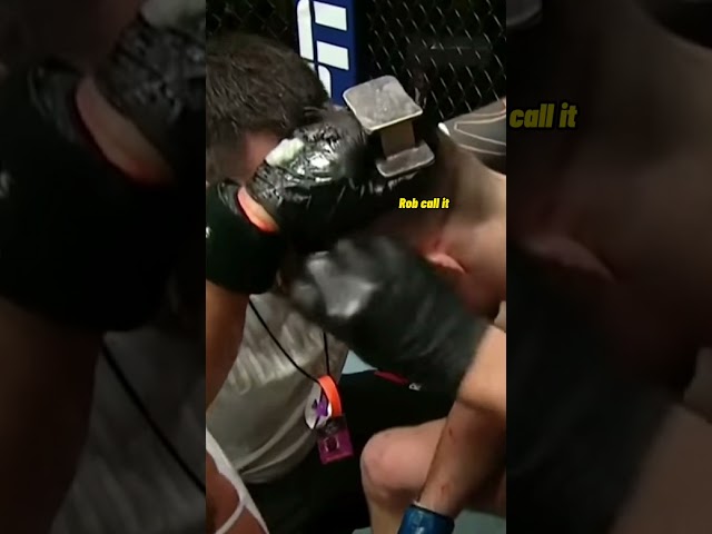UFC Fighter Quits Mid Fight! class=