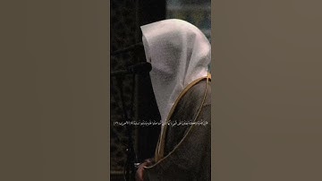 هدوء و سكينة #قرآن #القرآن_الكريم #قران_كريم #راحة_نفسية #رمضان #فضل #سورة #فلسطين #song #love #لايك