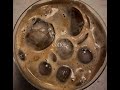 Coffee 2026