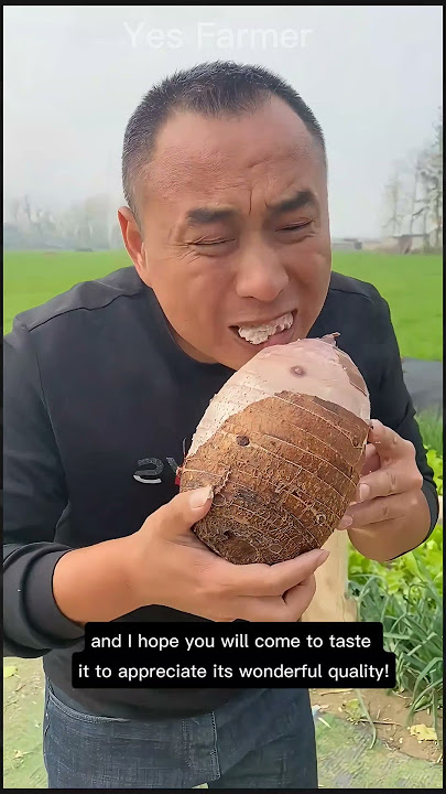 Fresh and delicious taro root, rich in nutrients.