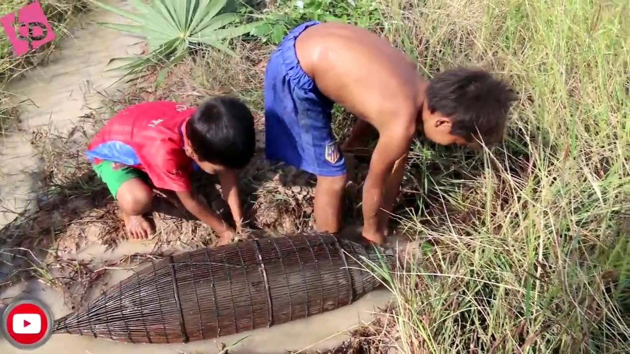 Amazing!!! Brave Boys Using Bamboo Trap Catch Water Snake in My Village   How to make Bamboo Trap