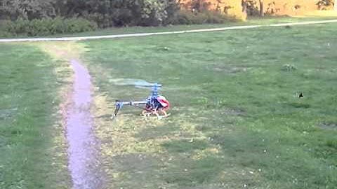 First flight with my 450 heli without training gear