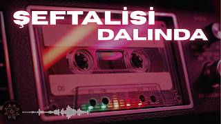 İmza Sesler - Şeftali̇si̇ Dalinda Oyun Havası (Silifke)