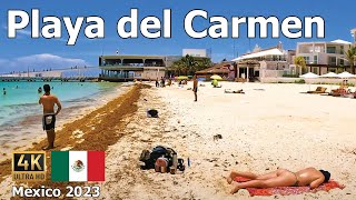 Playa Del Carmen 4K  Beach and 5th Avenue Walk