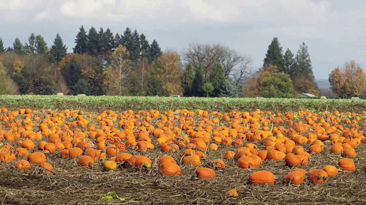 Farm to Fork: Connected