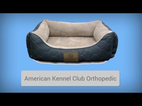 orthopedic-dog-bed---top-8-best-orthopedic-dog-beds