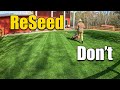 Should you seed a bermuda lawn