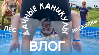 КАНИКУЛЫ НА ДАЧЕ | ДАЧНЫЕ ИСТОРИИ |   ЗАКУПКА В СФЕТОФОРЕ