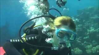 Погружение с EXTRA DIVERS WORLD WIDE (порт Галиб) - 2014г.