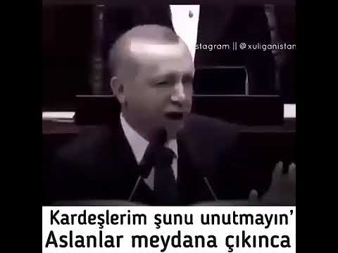 Recep Tayyip Erdogan——Aslanlar meydana cikarsa cakallarin payina kacmak düser !!!!!