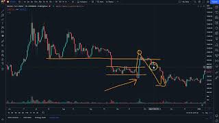 Celebrity Beware the Bitcoin Bear Trap Profile