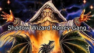 Shadow Wizard Money Gang and Whimsymaxxing