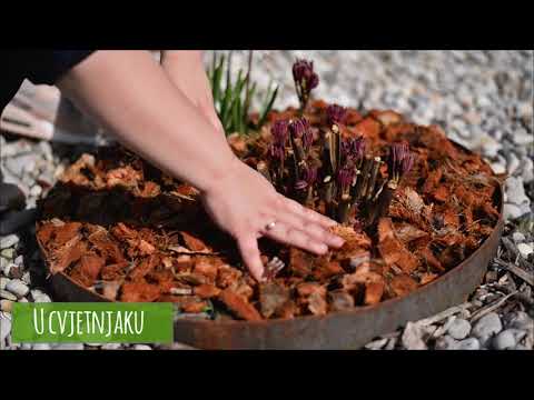 Video: Obični korov koji raste u šljunku - Kako ukloniti korov na šljunčanom prilazu i drugim područjima