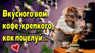 🌈🌞🥀Доброе  утречко🌈🥀 чудесного дня! 🌞🌈Красивая музыкальная открытка💗