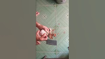 Tách lấy cùi dừa / Nhân vlog