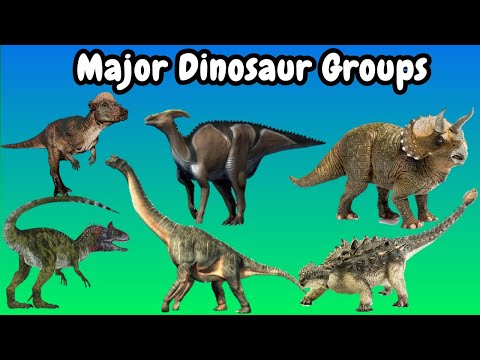 Wideo: Jakie są grupy dinozaurów?