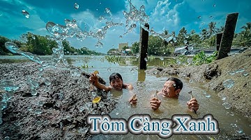Lặn bắt - Tôm càng xanh luộc nước dừa “ Lai Rai “ nhớ thời xa xưa | Gấc Quê #120