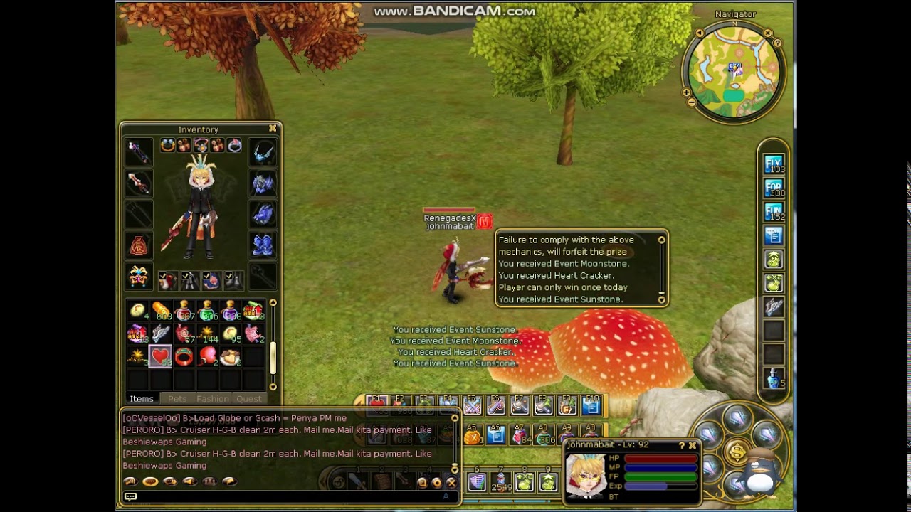 PlayPark Flyff Valentine's Day Gift Opening