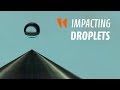 Impacting droplets