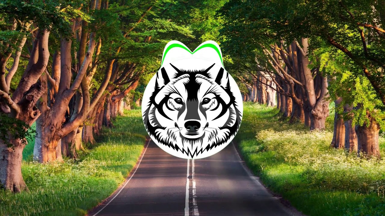 Baircave - Is Everything Okay? (WOLF Remix)🎵2019🎵