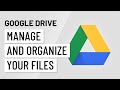 Google Drive Organization and Management Quiz
