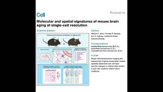 893-Molecular and Spatial Signatures of Mouse Brain Aging