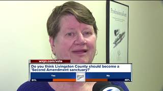 Do you think Livingston County should become a 'Second Amendment sanctuary'?