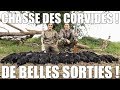 Chasse des Corvidés - De Belles Sorties ! - Marius Chasse