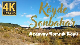 4K Köyde Sonbahar | Azdavay Tomruk Köyü Resimi