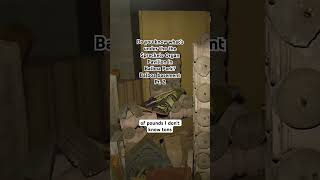 Beneath Spreckels Organ Pavilion Lies Hidden History