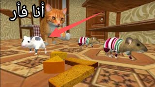 محاكي الفأر : جربت حياة الفئران / Rat simulator🐀😅