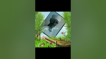 سورة المؤمنون ربع ٢ حلمي الهوي