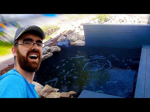 Uncle Jay's Full Koi Pond Project (TimeLapse)