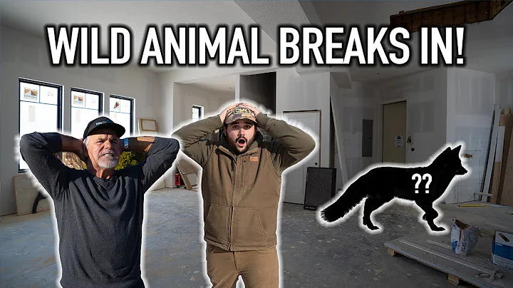 Wild Animal BREAKS INTO FLAIR'S NEW HOUSE! (We Can...