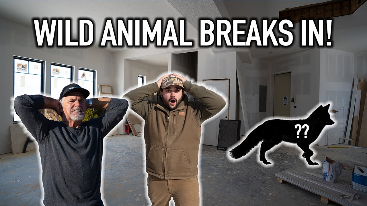 Wild Animal BREAKS INTO FLAIR'S NEW HOUSE! (We Can't Find It)