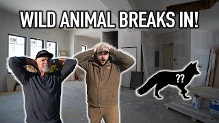 Wild Animal BREAKS INTO FLAIR'S NEW HOUSE! (We Can't Find It)