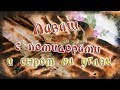 Лаваш с помидорами и сыром на углях.  Шаурма с сыром и помидорами на гриле.  Закуска к шашлыку.